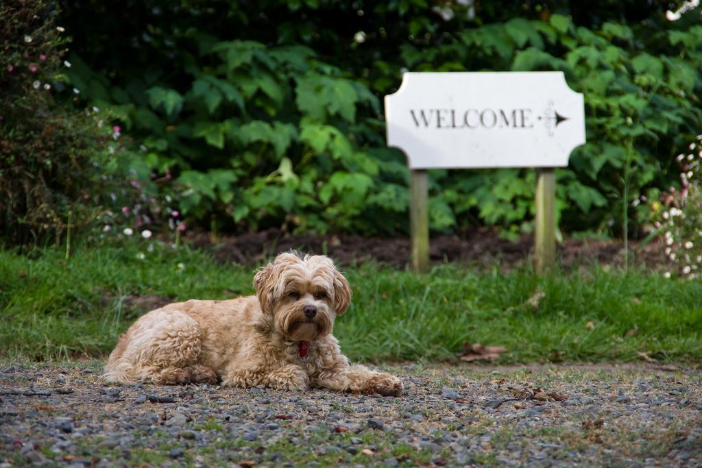 Hotel Ugbrooke Country Estate Lower Dashwood Exterior foto